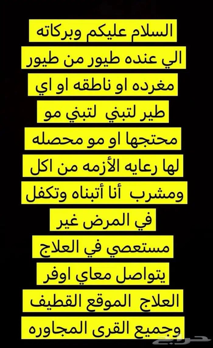 اي طيور لتبني تواصل معاي 1