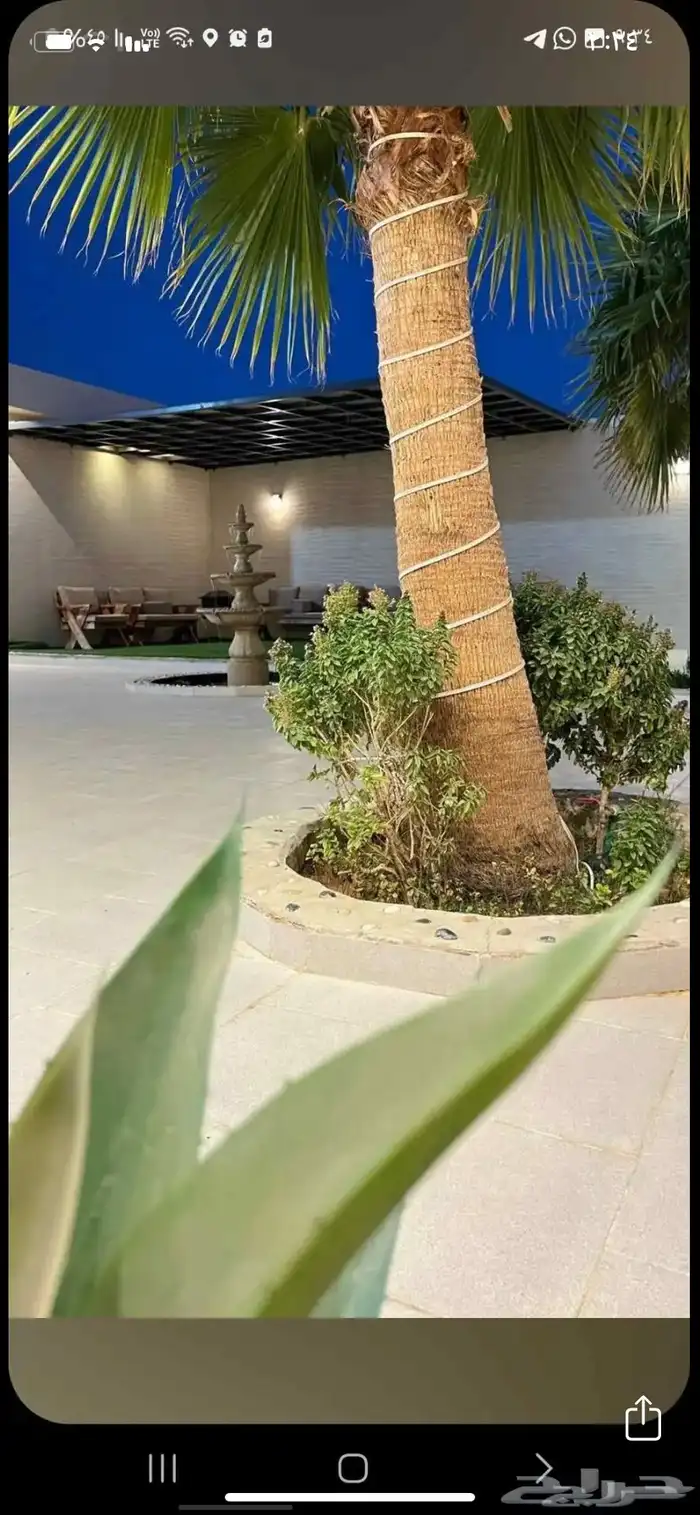 شاليه فخامة الوسام حي عريض 1