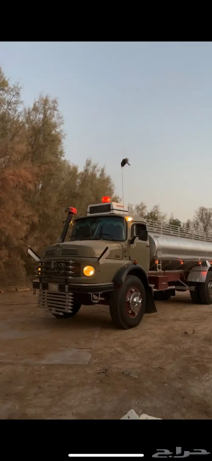 عايدي بوز 24 5