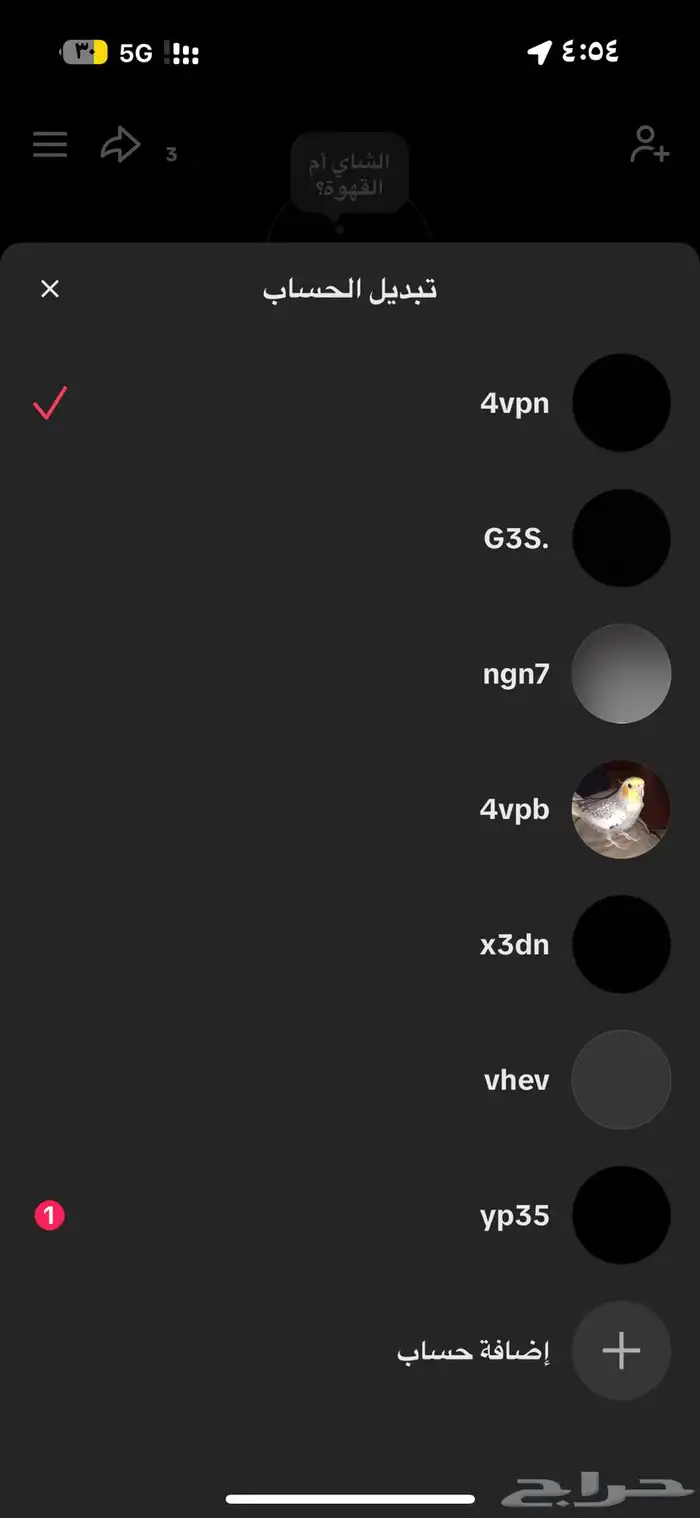 يوزرات تيك للبيع 0