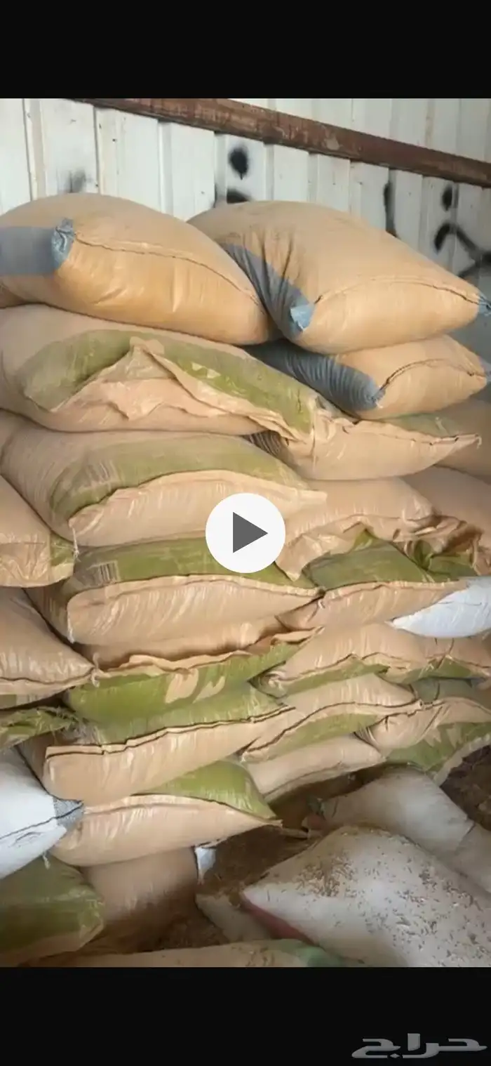 بذر هيبان مخلوط مع بر 2