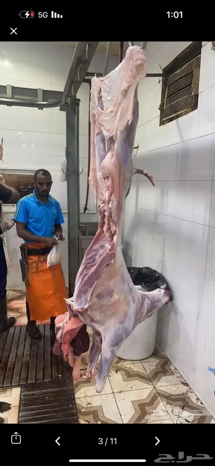 ذبايح شامل السلخ وتوصيل و التكيس وتغليف 2