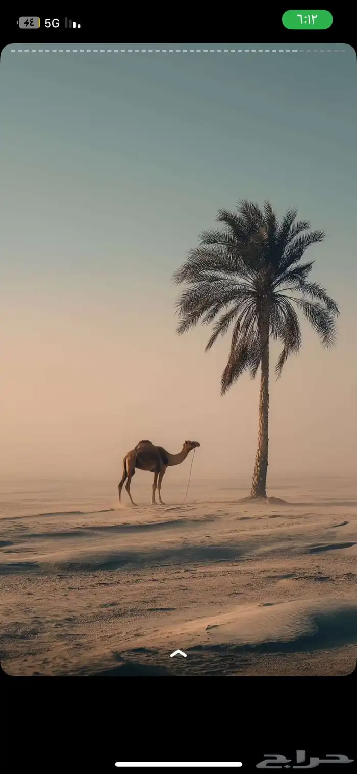 حذاف وقربة فلتر مكينة هايلكس علا الشرط 0