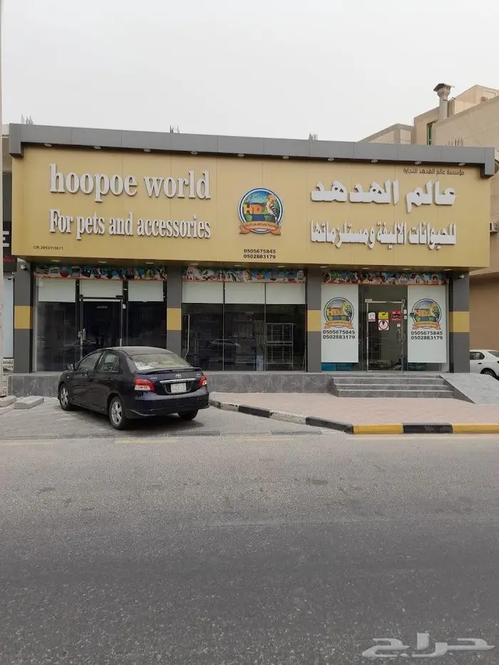 محل مستلزمات الطيور الاليفه للبيع 1