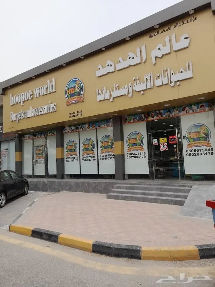 محل مستلزمات الطيور الاليفه للبيع 0