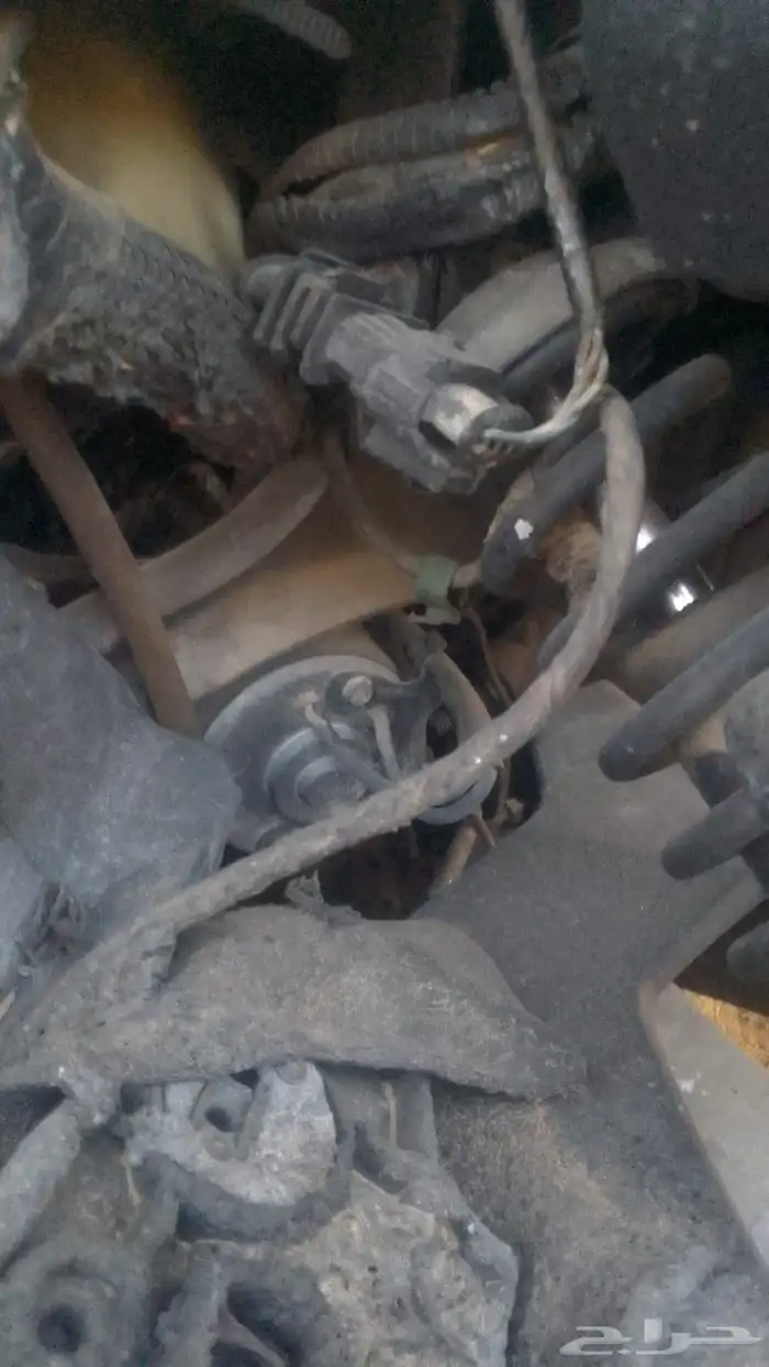 دباب رحال 1