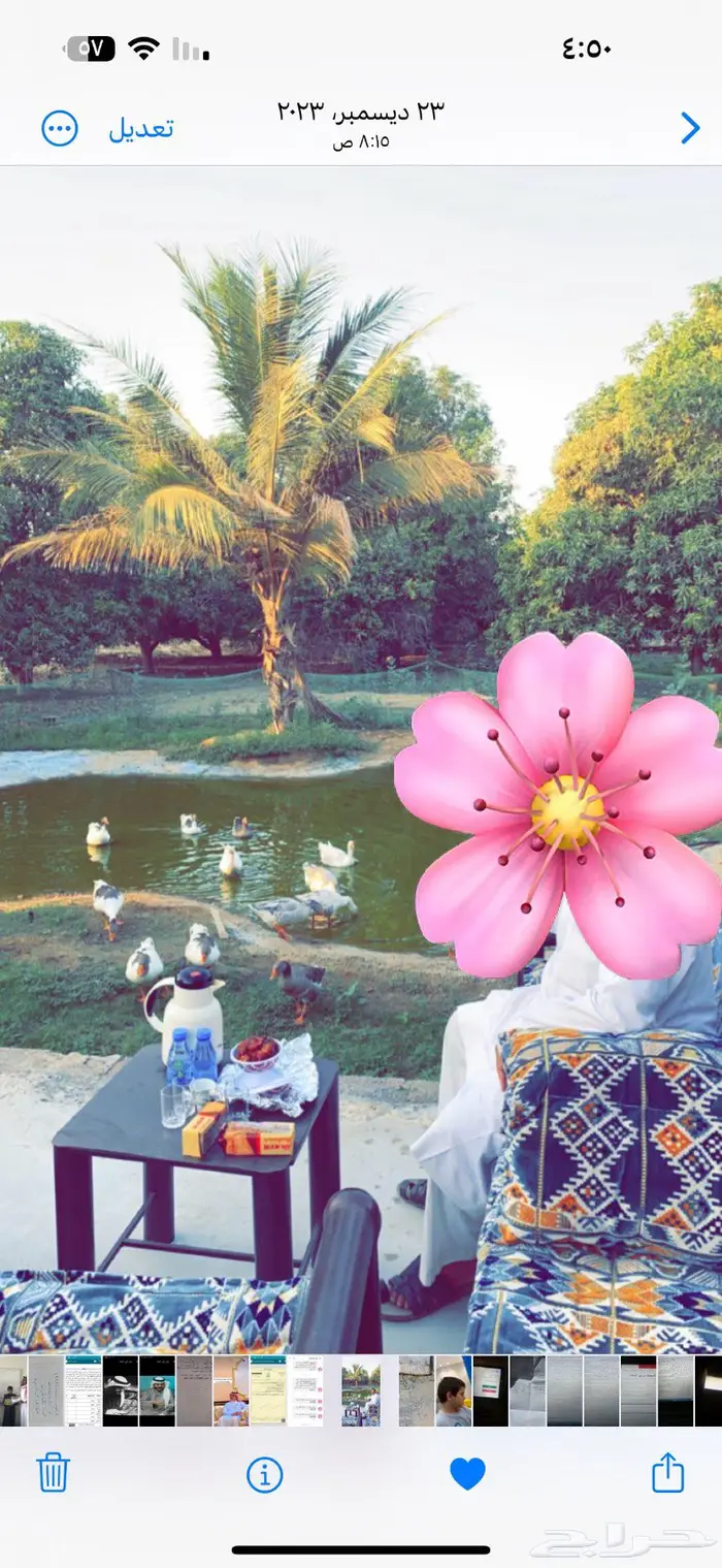 مزرعة وأستراحة للبيع من المالك مباشرة جازان بيش 0