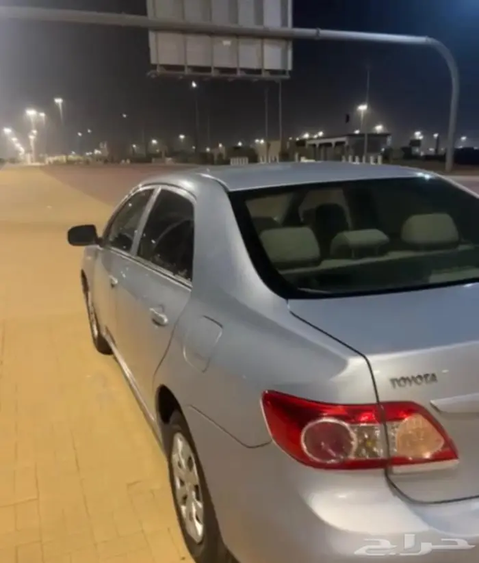 كوريلا 2013 4