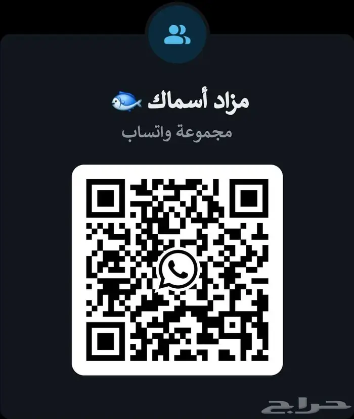 مزاد أسماك طازجة 1