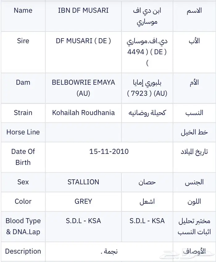 حصان واهو 10
