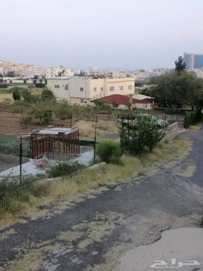 أرض للبيع بصك زراعي في أبها   حي الوصايف 17