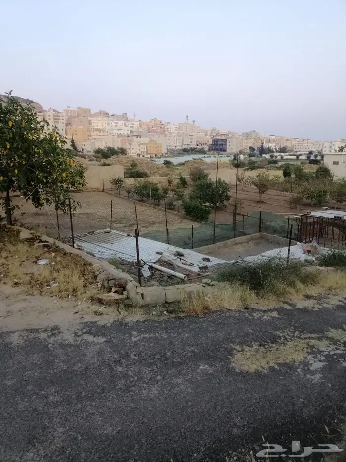 أرض للبيع بصك زراعي في أبها   حي الوصايف 13