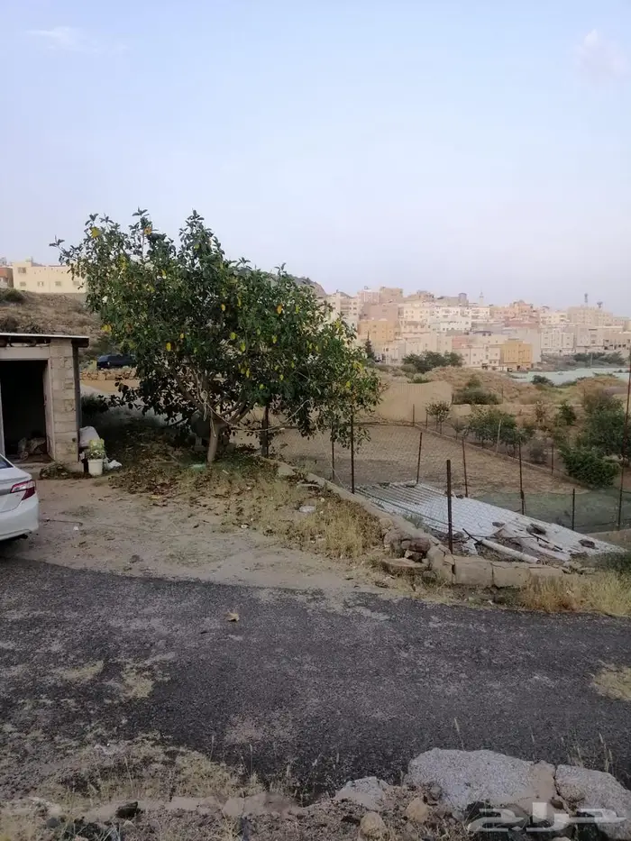 أرض للبيع بصك زراعي في أبها   حي الوصايف 12