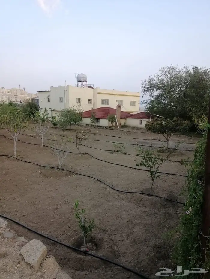 أرض للبيع بصك زراعي في أبها   حي الوصايف 20