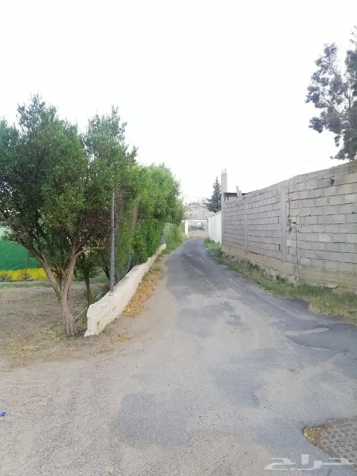 أرض للبيع بصك زراعي في أبها   حي الوصايف 26