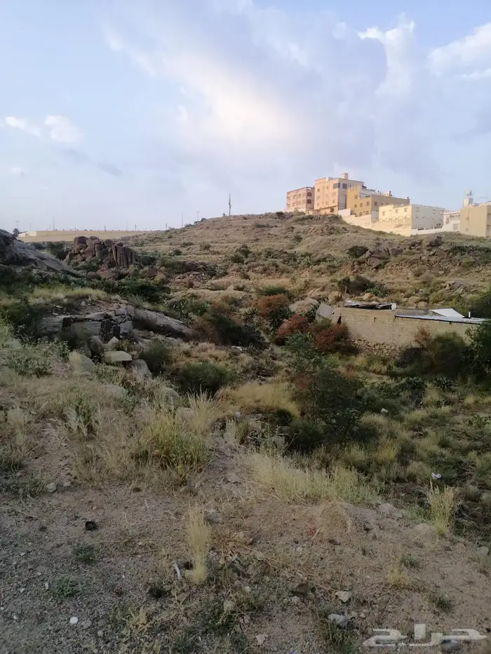 أرض للبيع بصك زراعي في أبها   حي الوصايف 2