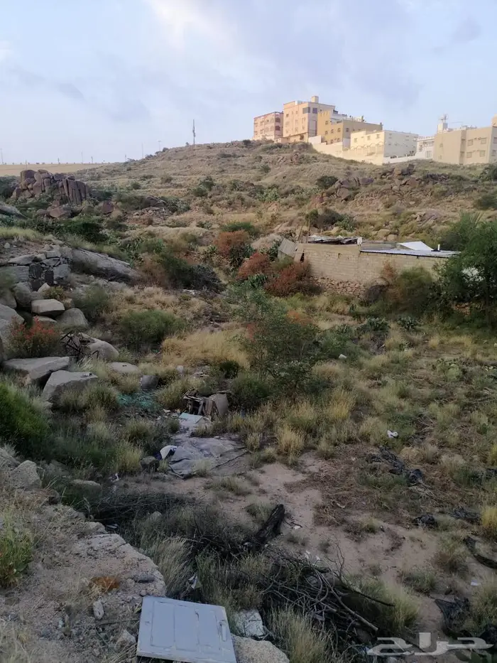 أرض للبيع بصك زراعي في أبها   حي الوصايف 9