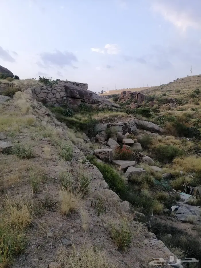 أرض للبيع بصك زراعي في أبها   حي الوصايف 8