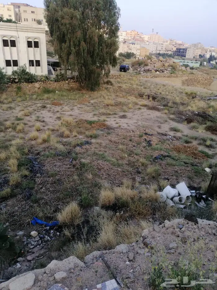 أرض للبيع بصك زراعي في أبها   حي الوصايف 3