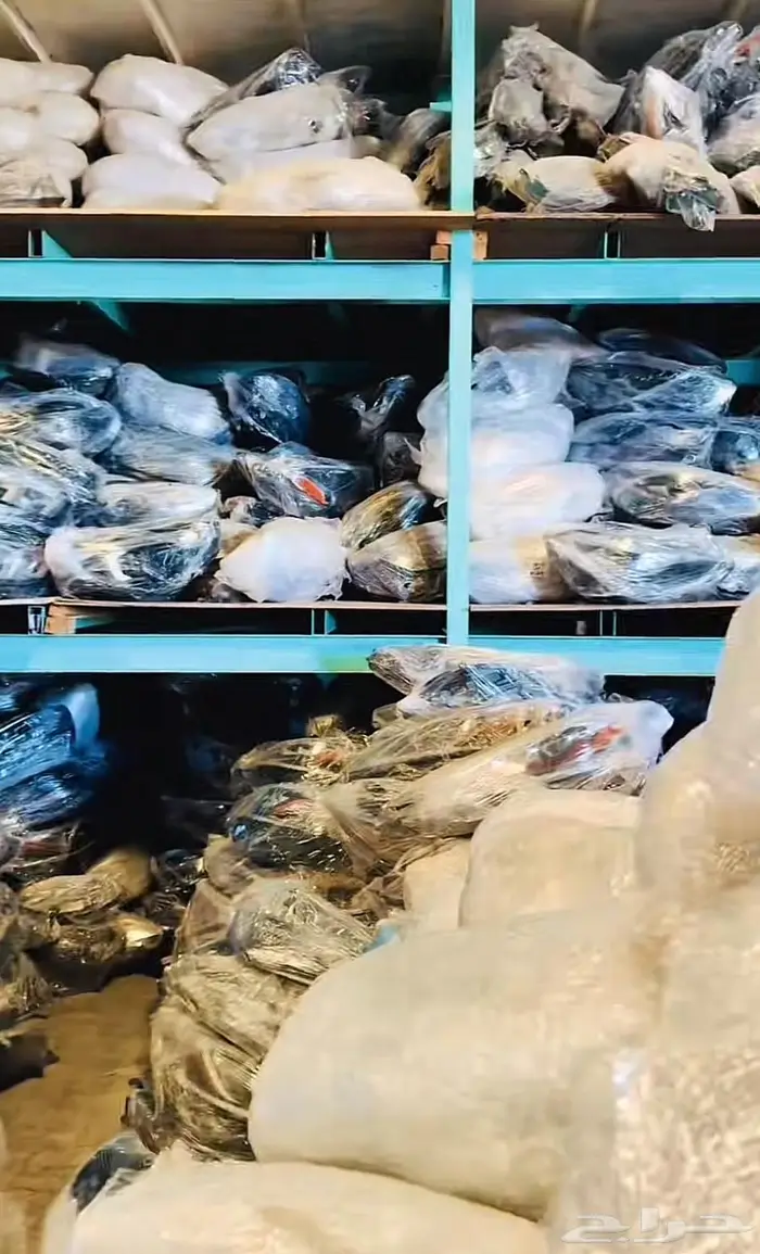 بي ام دبليو مرسيدس ياباني صيني 4