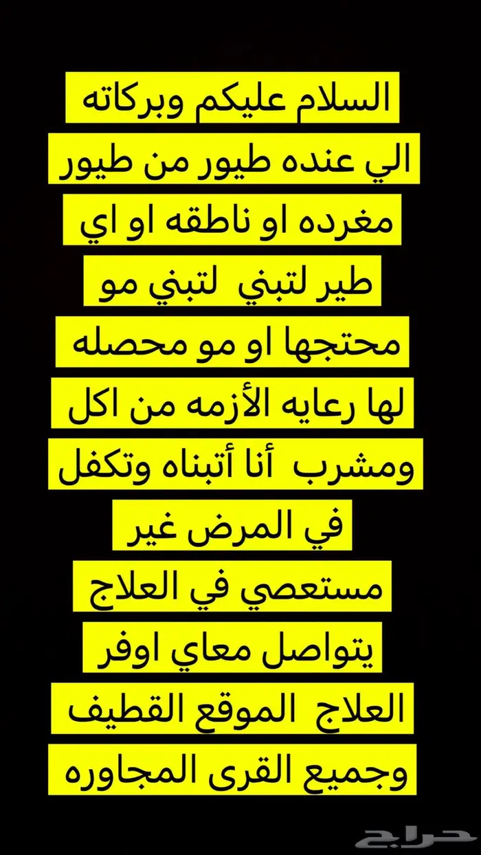 اي طيور لتبني تواصل معاي 0