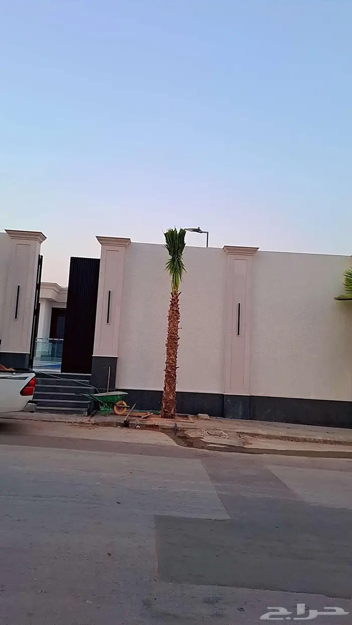 واشنطني زينه من المزرعه مباشرة 1