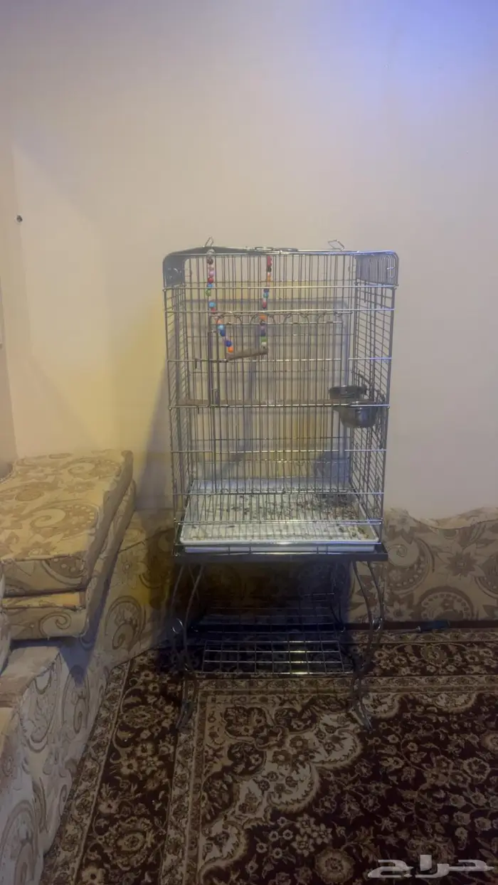قفص ببغاء شبه جديد 0