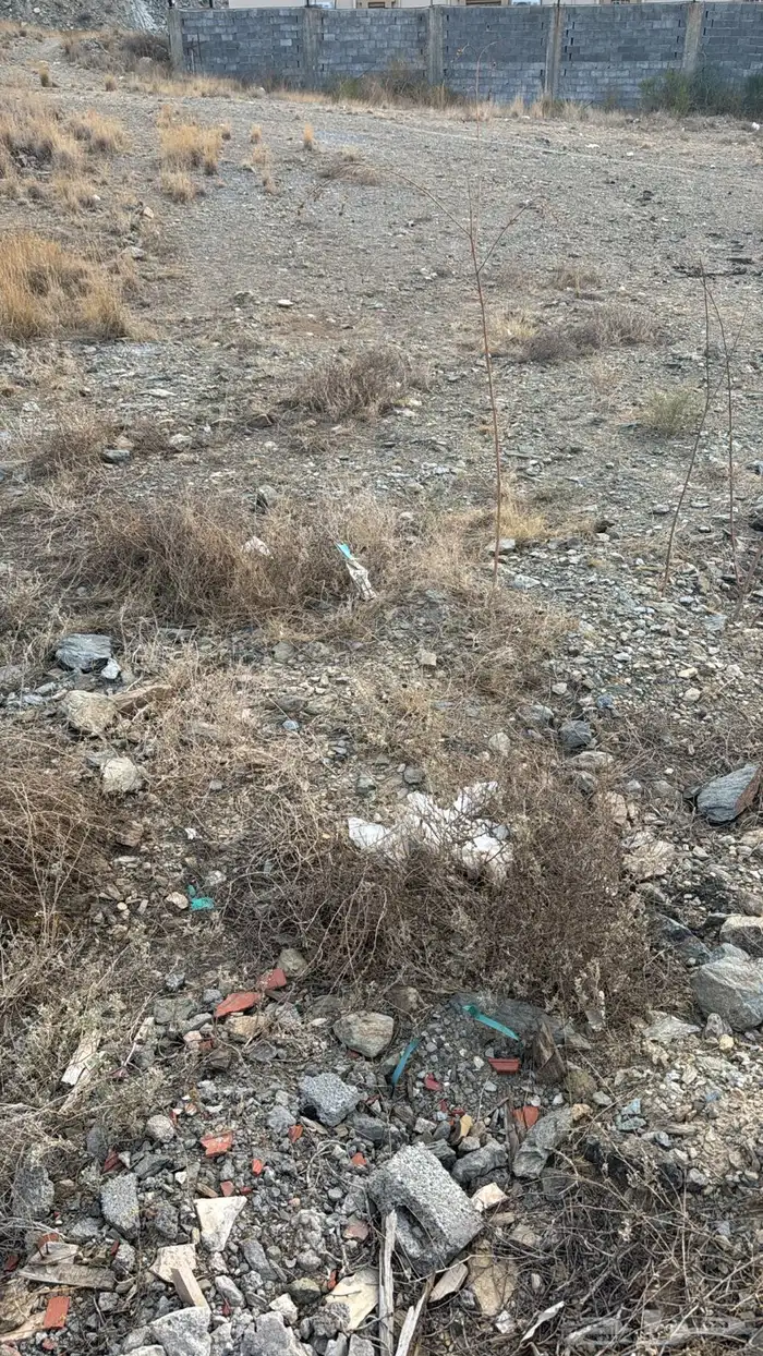 الباحة مقابل مول الباحة موق ممتاز 2