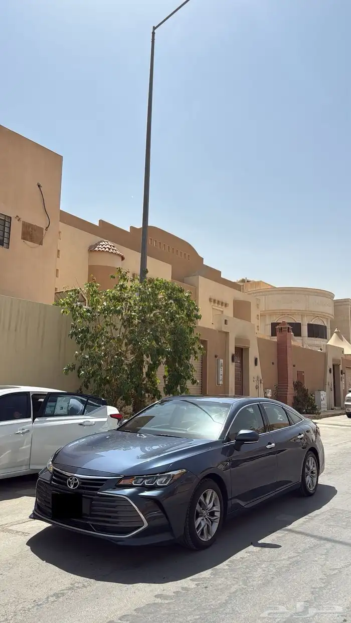 ا الون 2020 ستاندر 2
