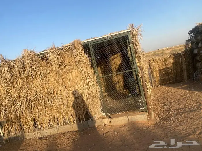 شبك حديد مقاس 4 في 4 ارتفاع مترين 4