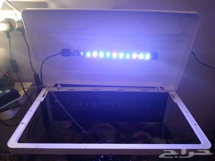 حوض سمك حجم كبير fish aquarium 2