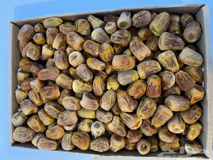 سكري درجة ثانية 1