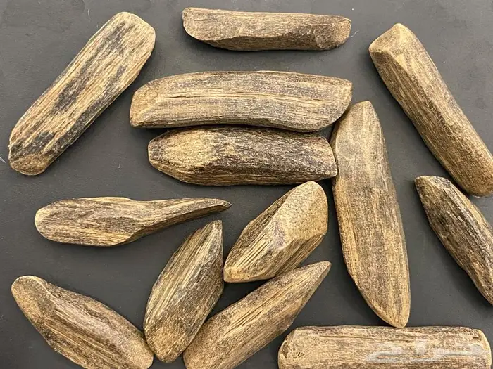 عود محسن خاص 0