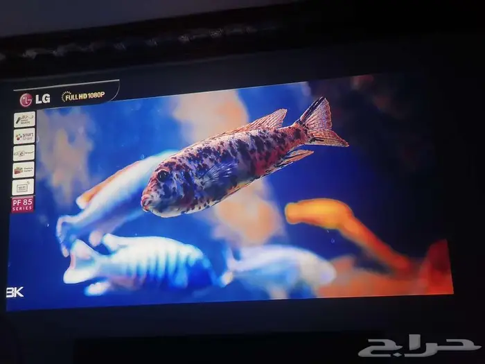 للبيع بروجكتر ال جي Full HD 2