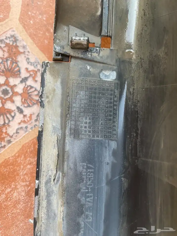سمكة اكورد 2018 4