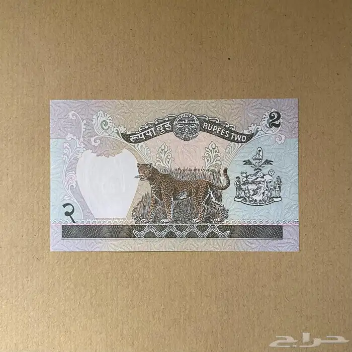عملة نيبال قديمة 1