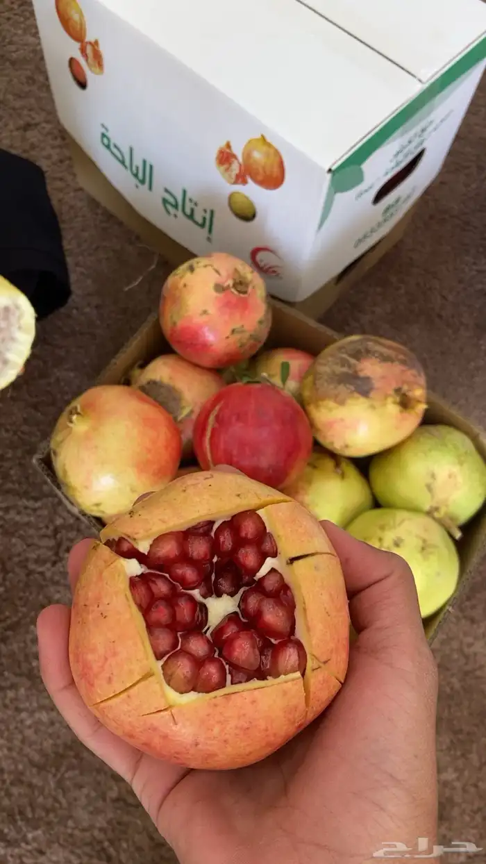 رمان الديرة 0