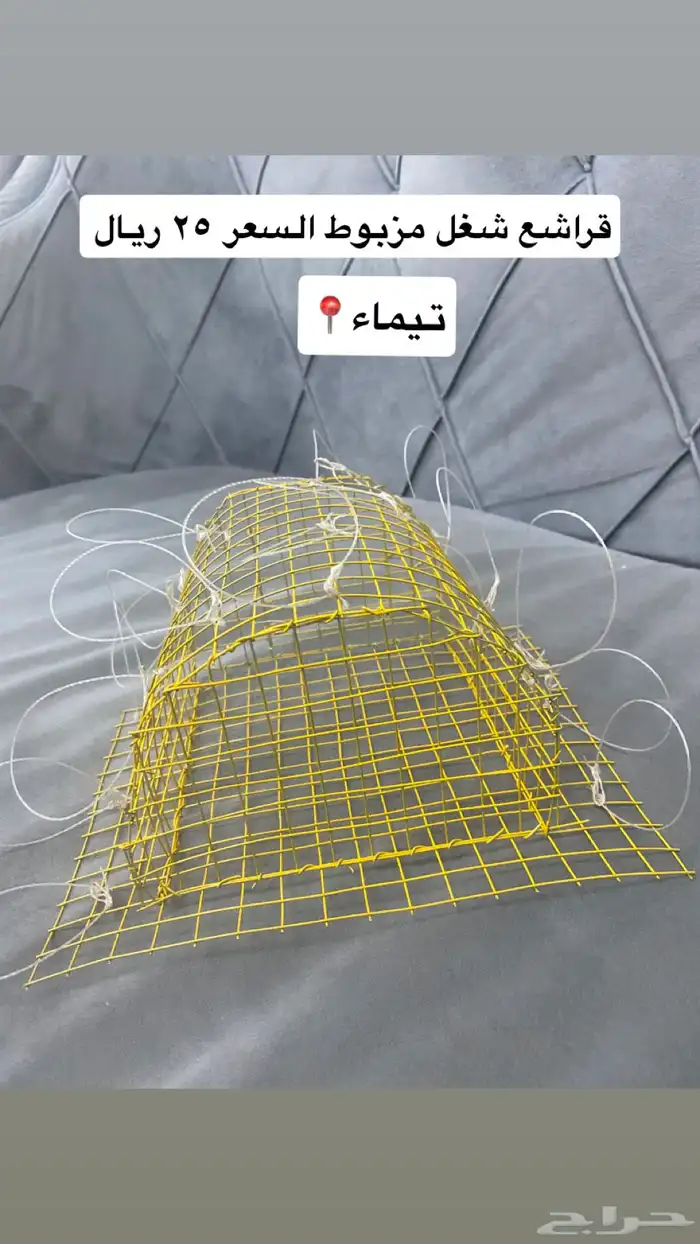 سمان قمري حمام شبك 0