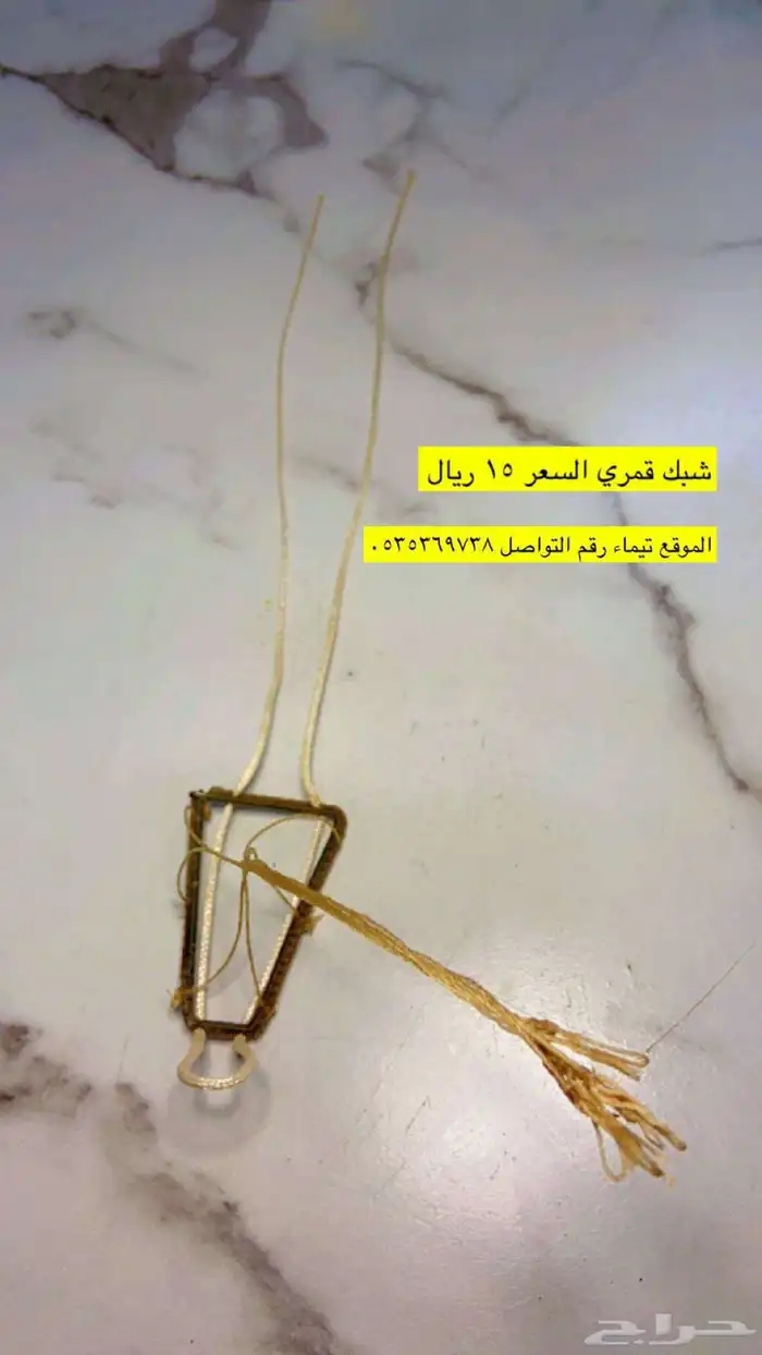 سمان قمري حمام شبك 6