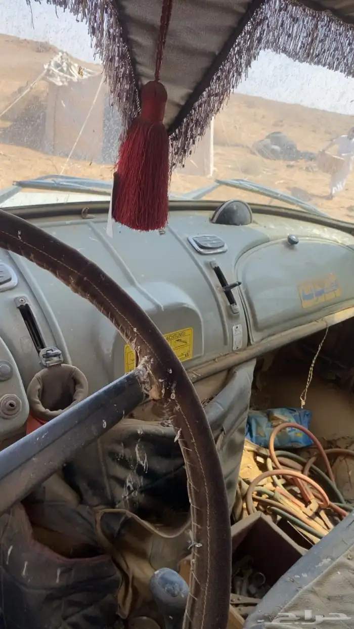 وايت حصناني للبيع التفاصيل عند راعيه علا الرقم 3