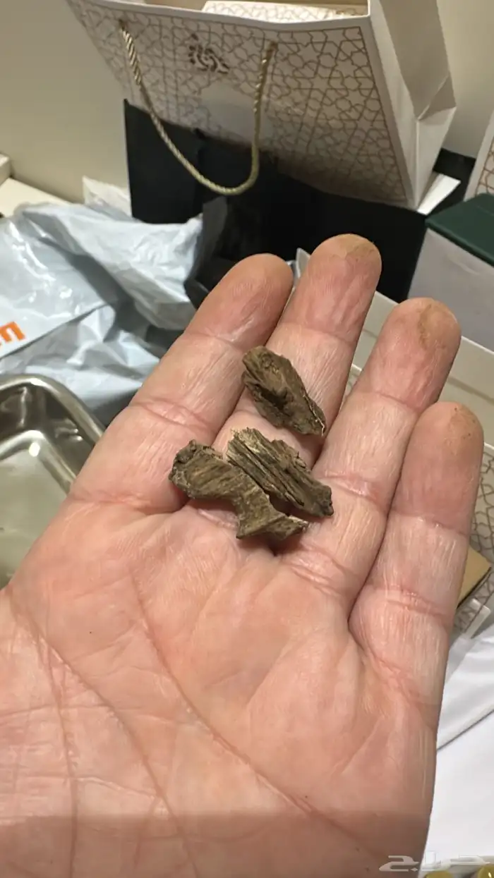 بروناي ملكي دبل ( تم البيع ) 3