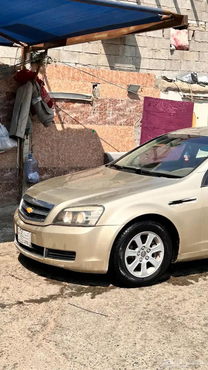 كابرس LS 1