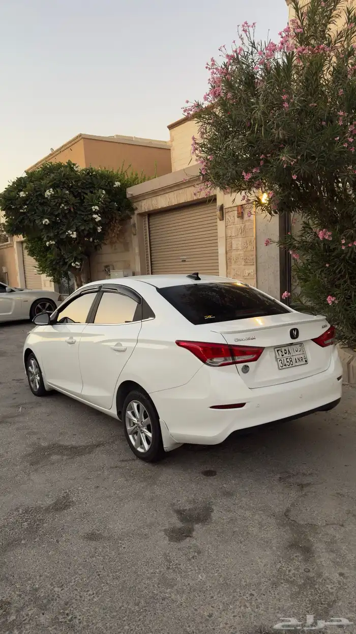 للبيع شانجان ALSVIN 2