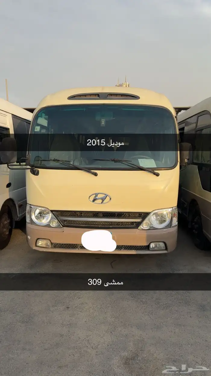 باصات كاونتي 3