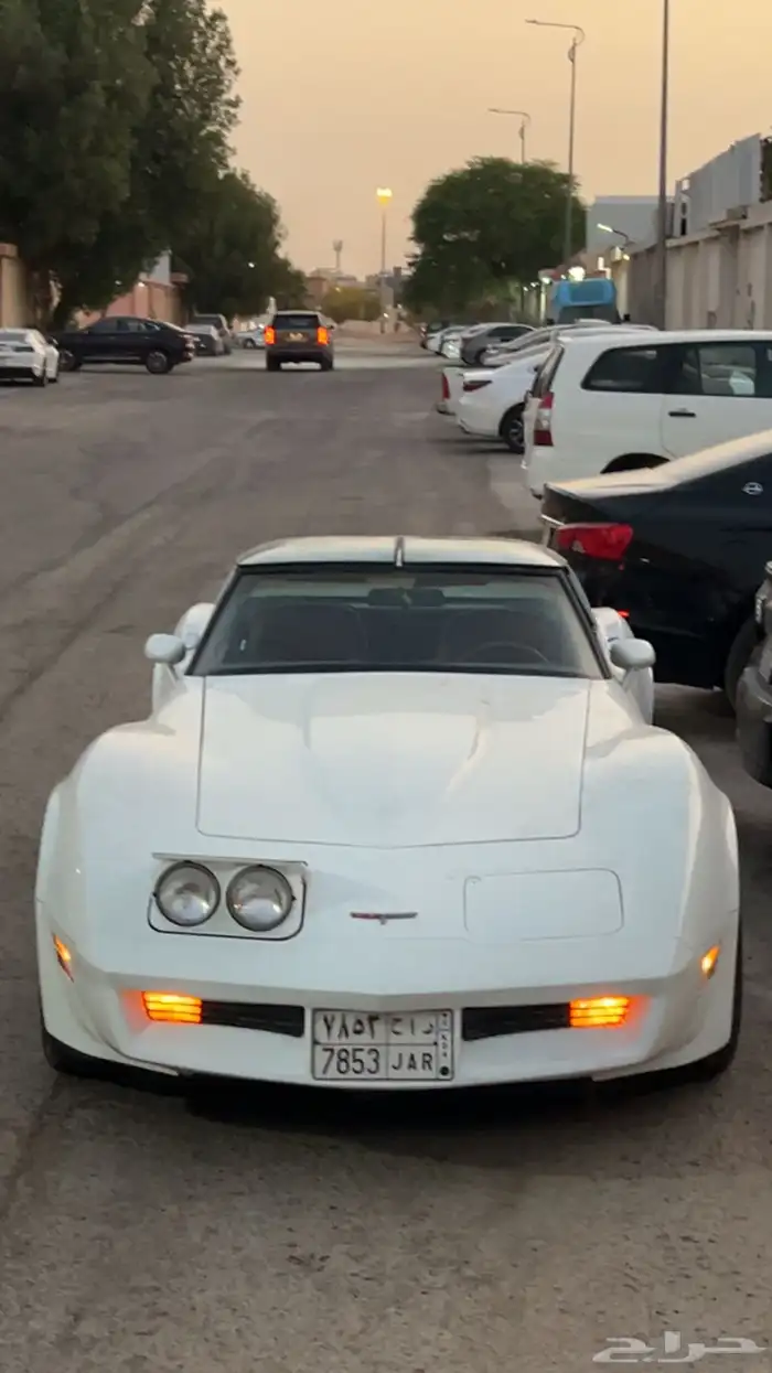 كورفيت 1981 للايجار 0