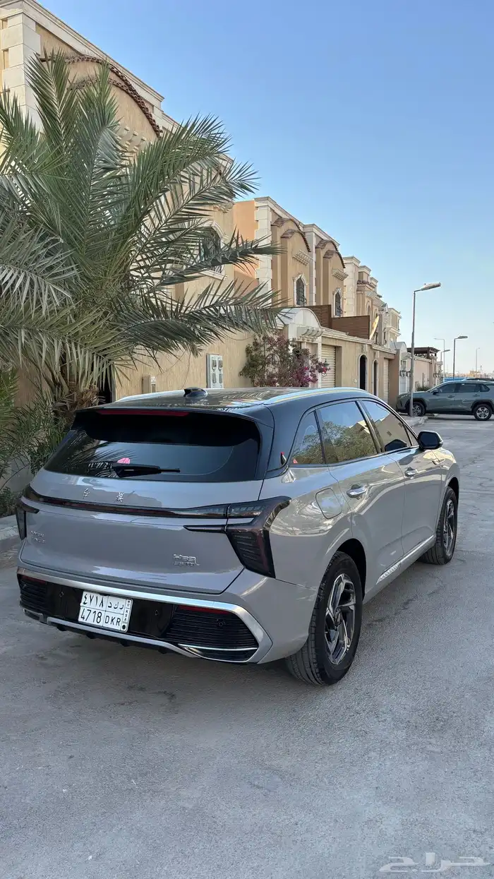 فاو هونشي HS3 2024 للبيع 8