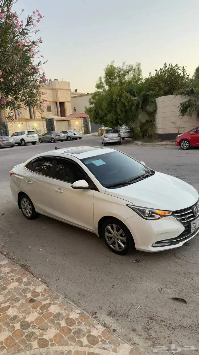 للبيع شانجان ALSVIN 1