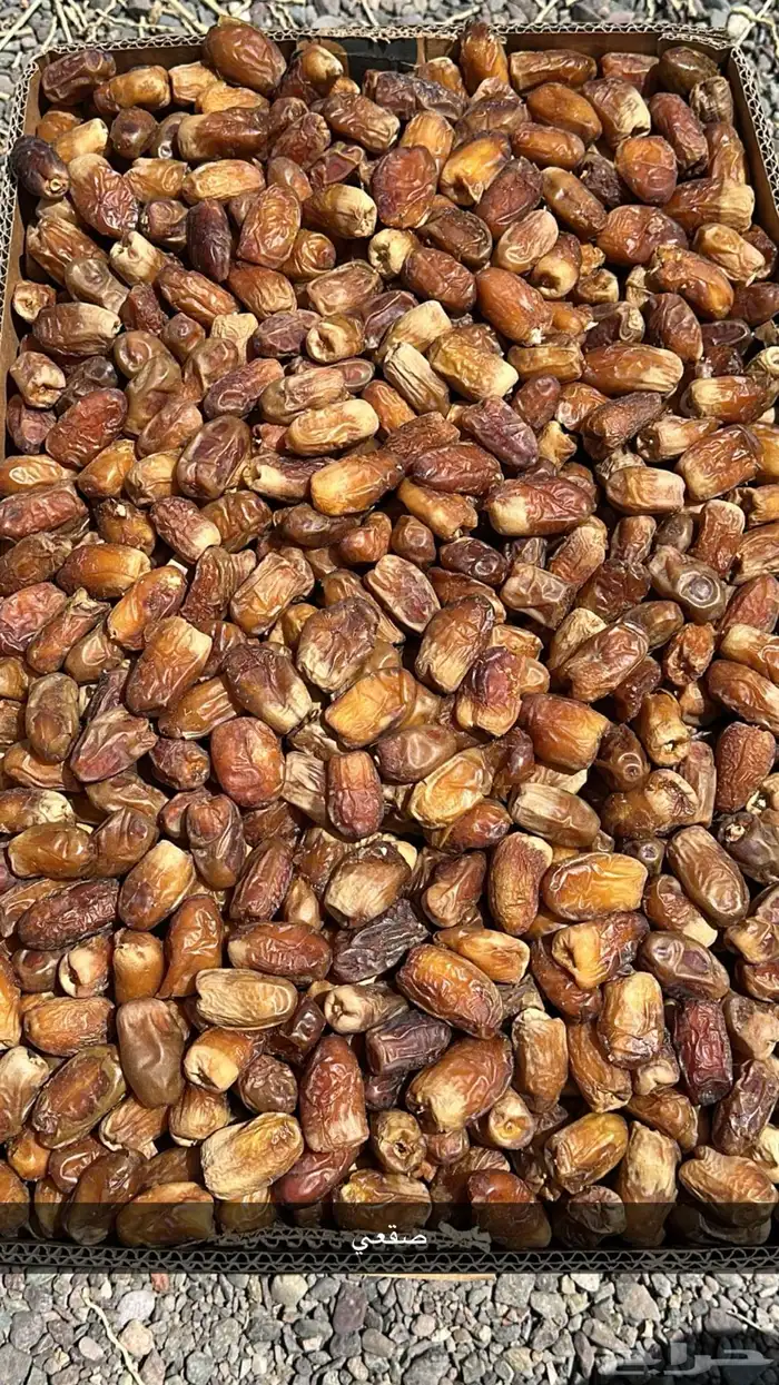 تمور للبيع 1