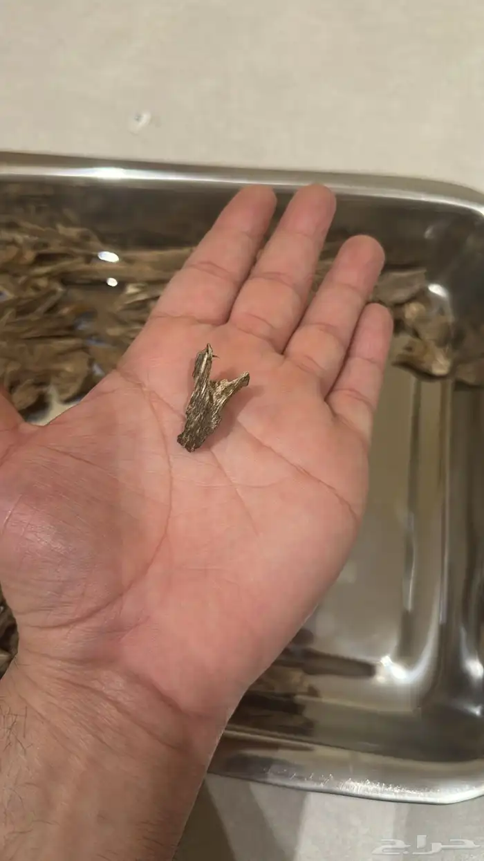 بروناي ملكي دبل ( تم البيع ) 2