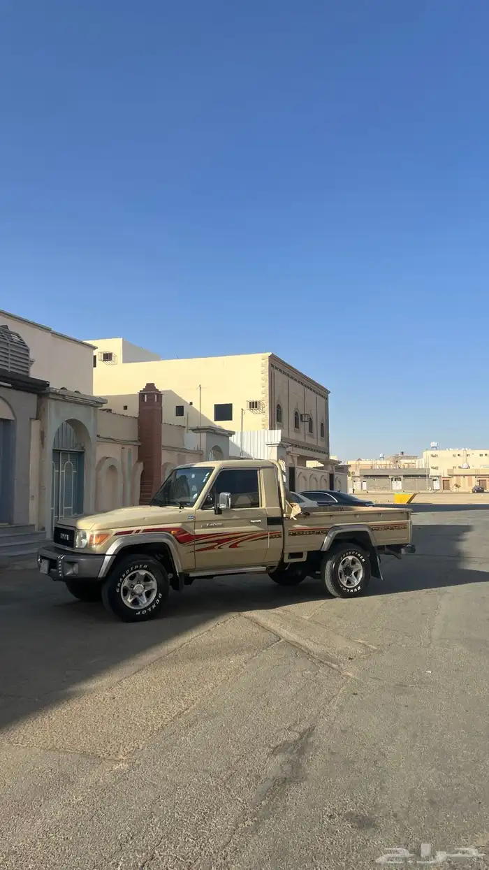 شاص 6